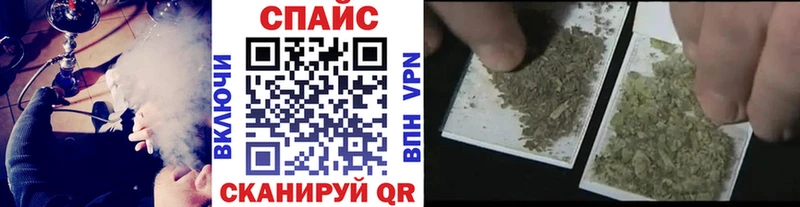 где купить   Ладушкин  БУТИРАТ буратино 