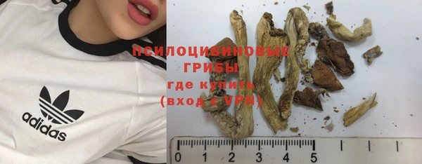 спайс Алексин