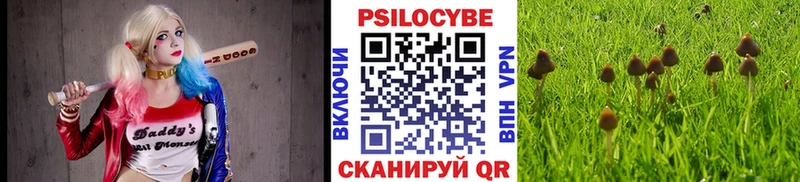 Галлюциногенные грибы GOLDEN TEACHER  Ладушкин 